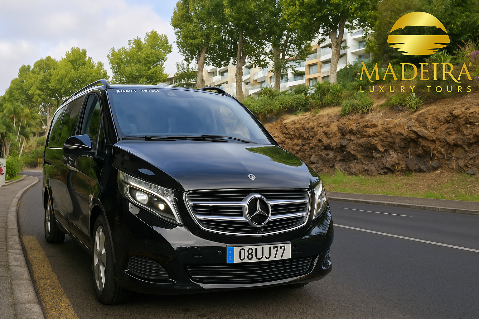 Luxury van for 4–7 passengers