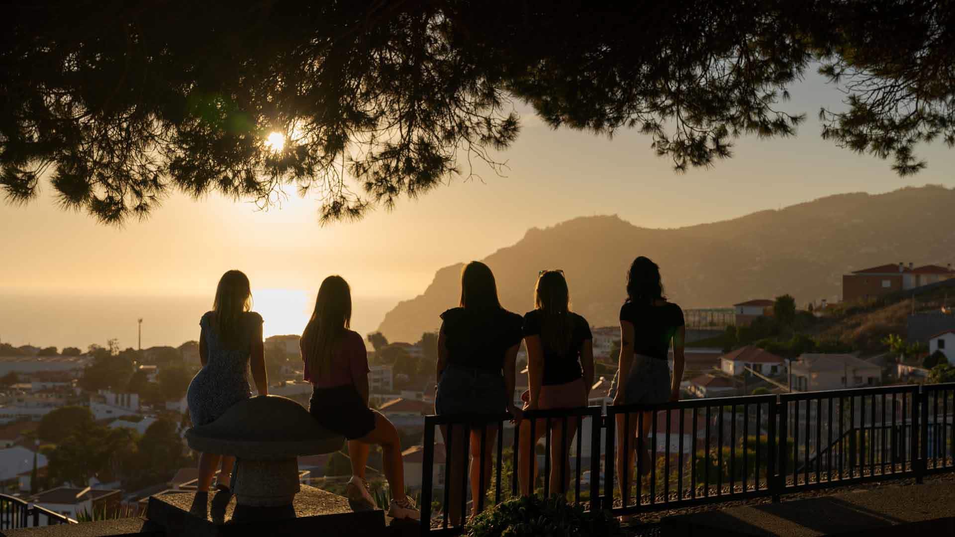 Pico dos Barcelos Viewpoint 3