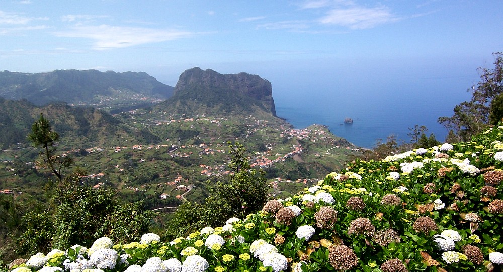 Portela Viewpoint 2