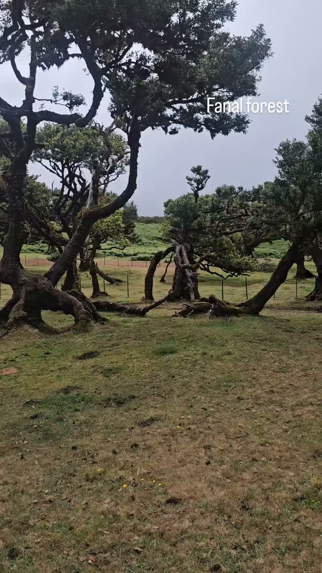 Instagram video thumbnail