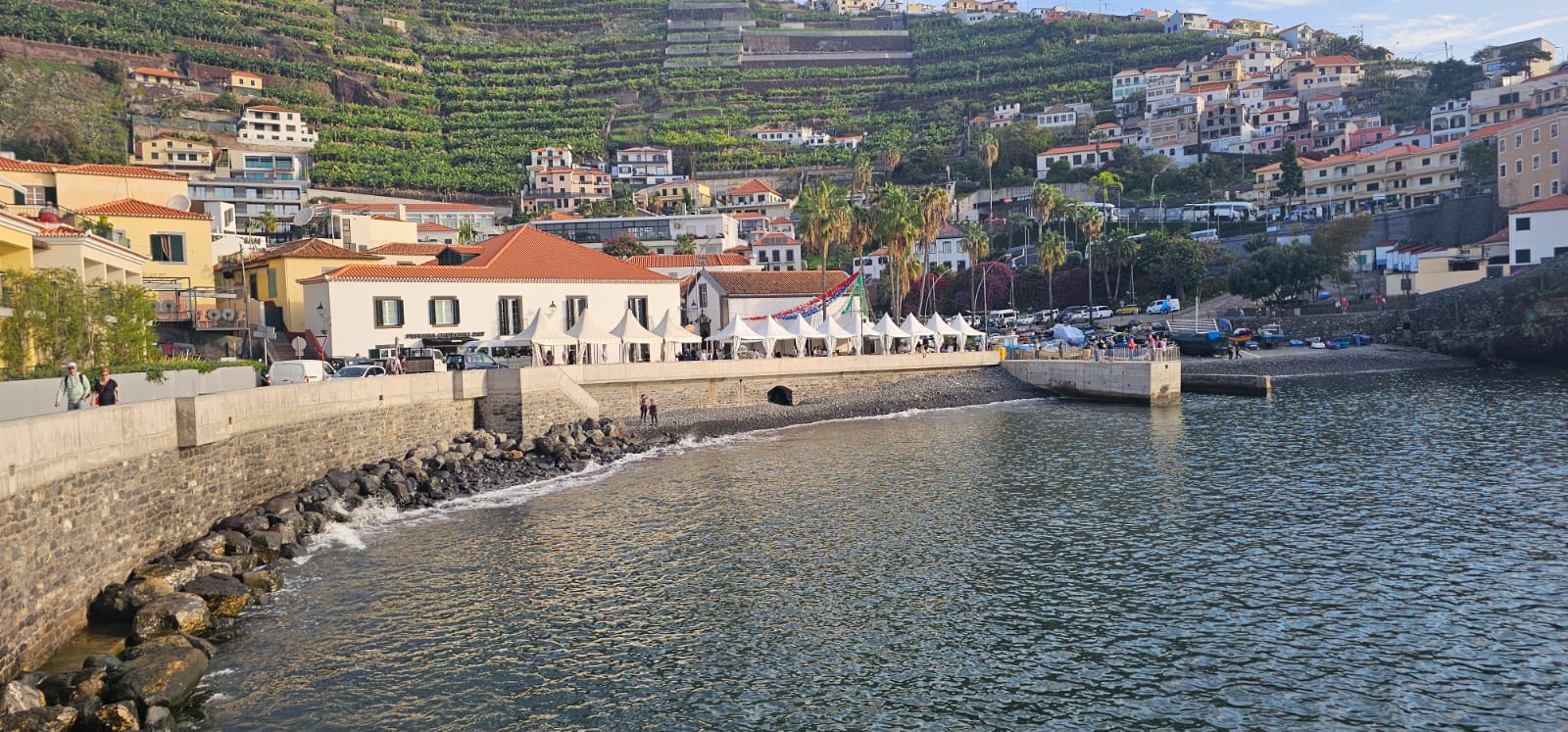 West Madeira Tour – Half Day